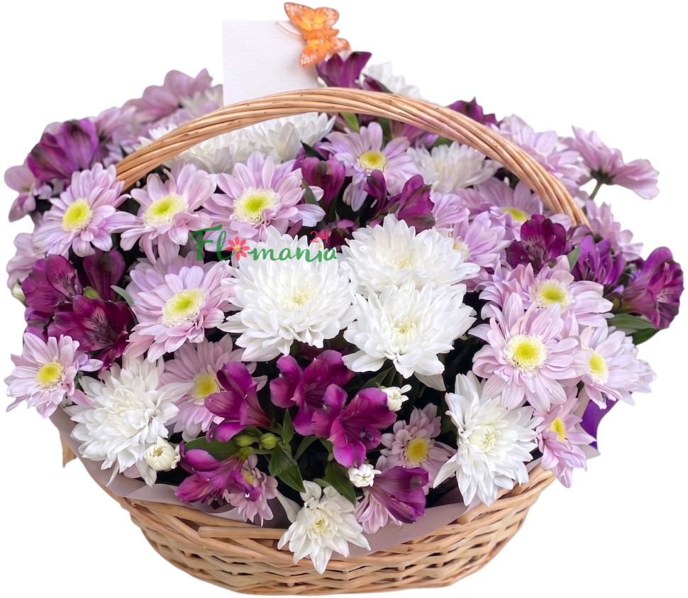 Книжная девочка